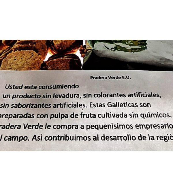 Galleticas de chilacuán con frutas 90gr