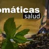 Aromáticas