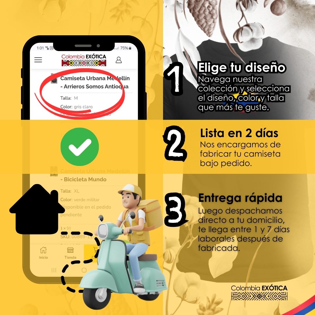 Pasos pedido V20240929-3